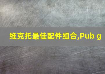 维克托最佳配件组合,Pub g